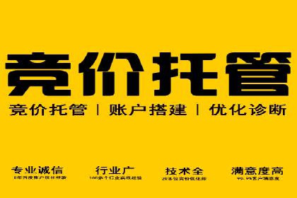 竞价代运营成功案例解析